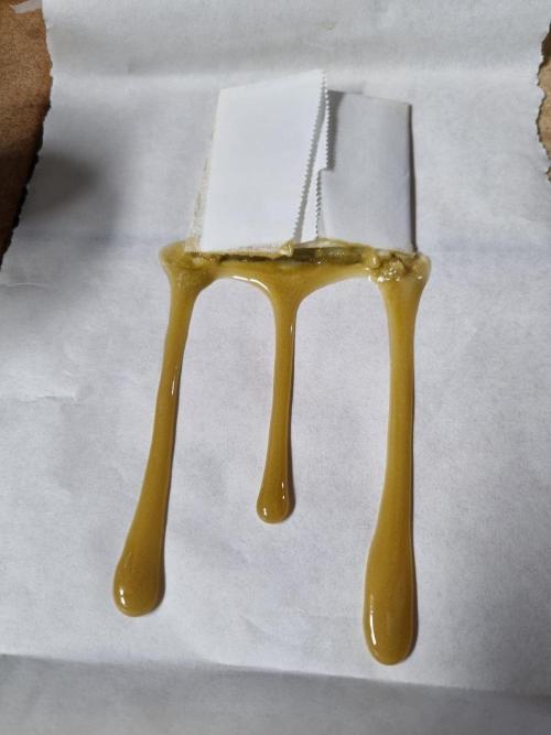 CO2 Grow: Umami & Exotic Genetix. Week 14 - not 100% sure if it was from this strain or other one, but either way like this