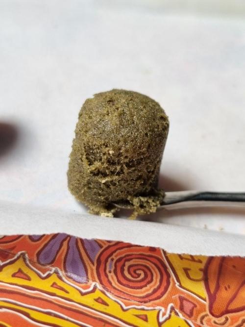 CO2 Grow: Umami & Exotic Genetix. Week 14