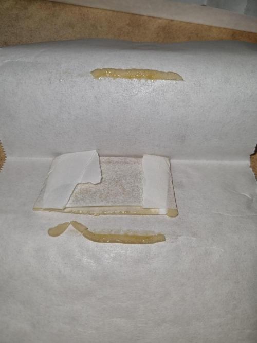 CO2 Grow: Umami & Exotic Genetix. Week 14