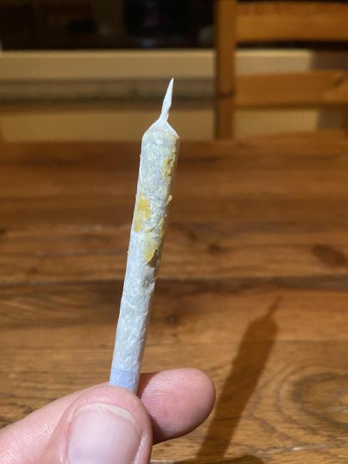 Apple Fritter. Week 6