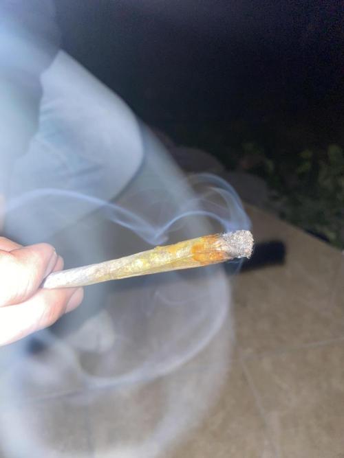 Apple Fritter. Week 6