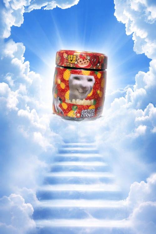 Pineapple N Cherry. Week 8