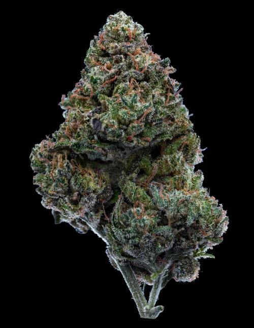 Slapz OriginalSensible. Week 12 - #3