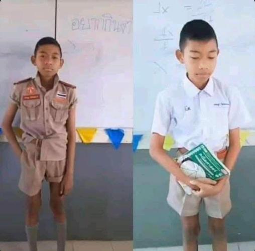 B.S.E. x Lemon Fire OG #2 Reg. Week 8