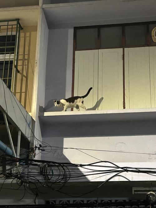 Last Pour ITC Cut. Week 4