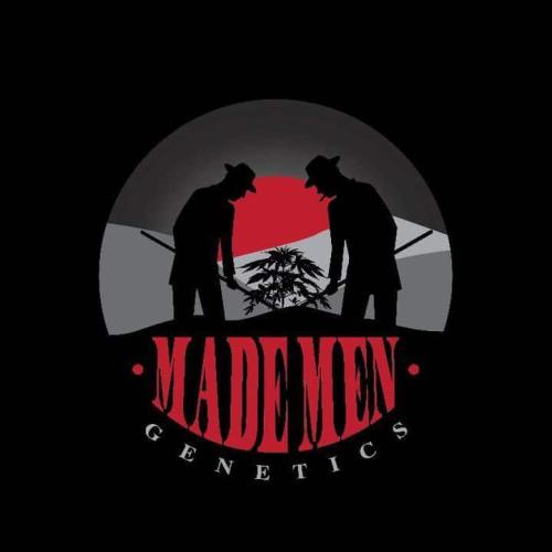 Blue Banana Cream. Week 7