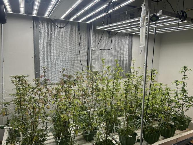 Route 65 BB Cut. Week 8