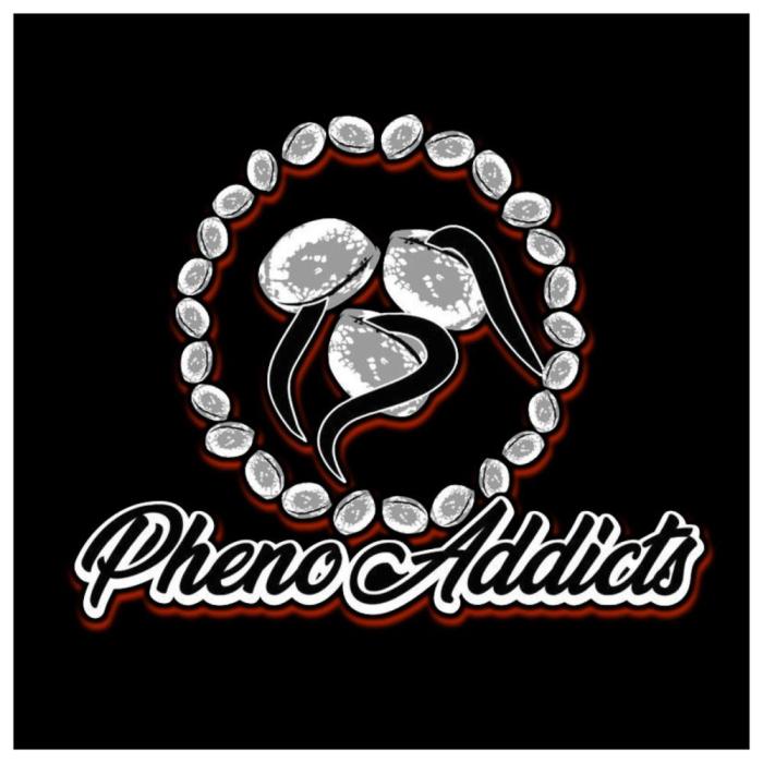 Wavy x Bebesita  TwerkQuake S1. Week 1