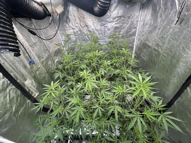 Slurricane. Week 5
