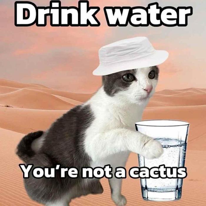Lemon Cherry Gelato BB Cut 2nd. Week 8