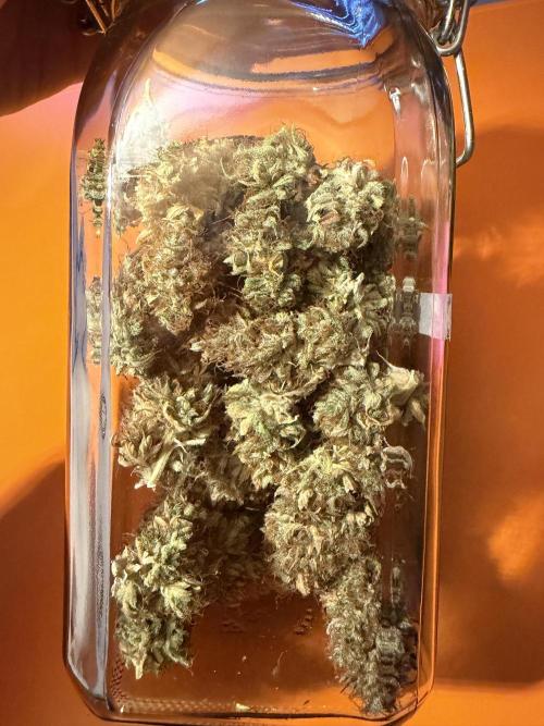 Orange Sherbet Auto FBs. Week 14 - Curing in the jar