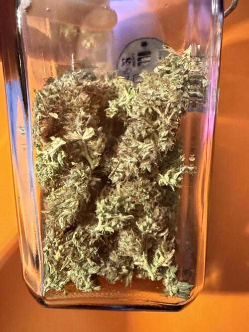 Orange Sherbet Auto FBs. Week 14 - Curing in the jar