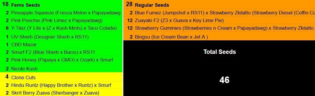 Tastemaker.hh Seedpopper Series #1. Week 1