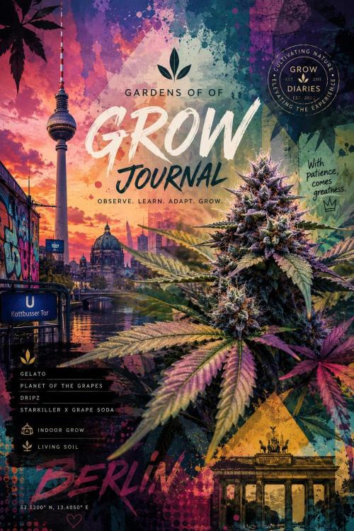 2026 1st Grow: Mix Grape Field. Week 11