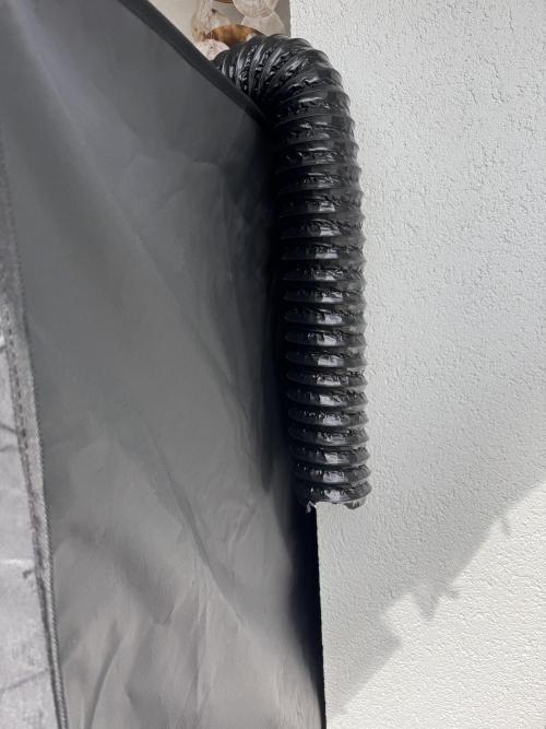 2026 Balcony Grow Experiment. Week 10