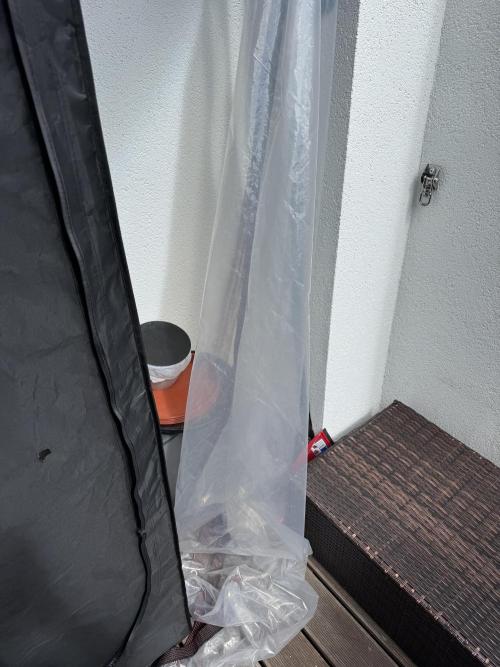 2026 Balcony Grow Experiment. Week 10