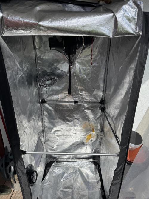 2026 Balcony Grow Experiment. Week 10