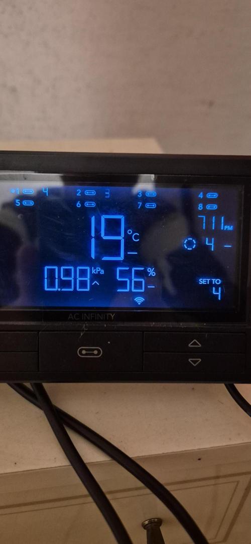 Wedding Glue Automatic FastBuds Grow. Week 2 - Good conditions in this stage!