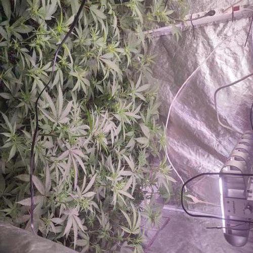 Varios. Week 3
