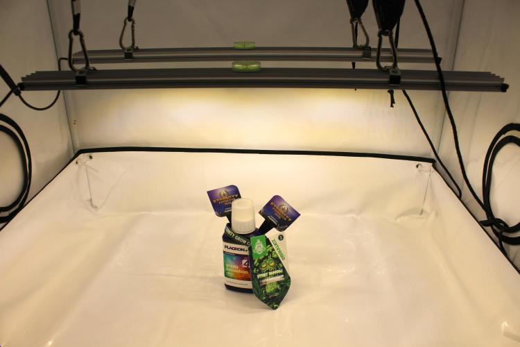 Eternity Grow Cup 2026 - Sticky 🥦. Week 0 - Let's start the eternity grow cup 2026