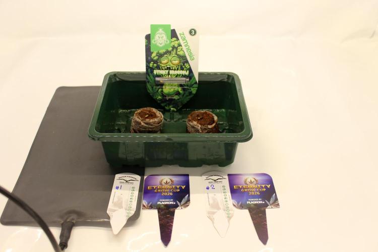 Eternity Grow Cup 2026 - Sticky 🥦. Week 0 - Let's start the eternity grow cup 2026