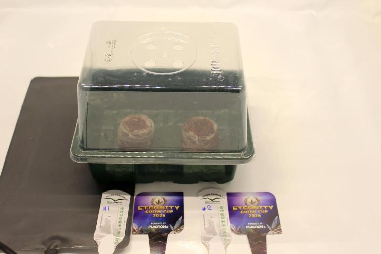 Eternity Grow Cup 2026 - Sticky 🥦. Week 0 - Let's start the eternity grow cup 2026