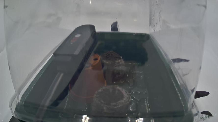 Eternity Grow Cup 2026 - Sticky 🥦. Week 0 - Day 3