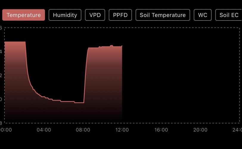 Eternity Grow Cup 2026 - Sticky 🥦. Week 0 - Day 3: temperature 