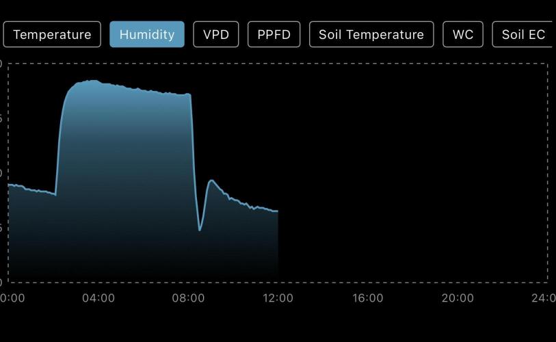 Eternity Grow Cup 2026 - Sticky 🥦. Week 0 - Day 3: humidity 
