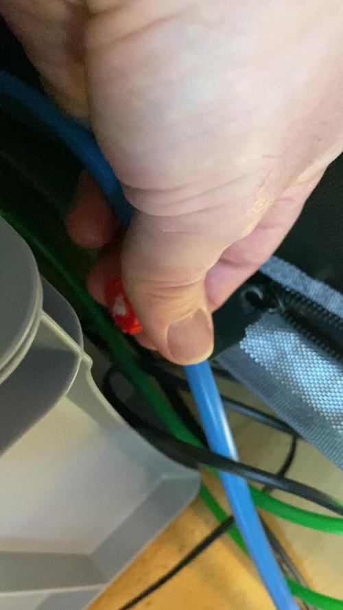 Eternity Grow Cup 2026 - Sticky 🥦