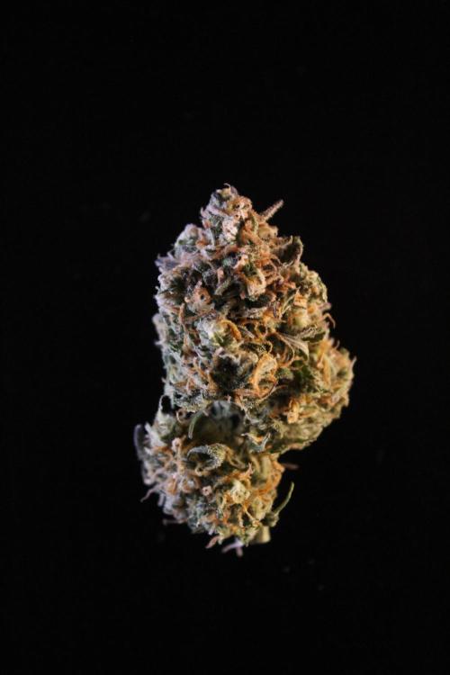Eternity Grow Cup 2026 - Sticky 🥦. Week 11 - Details of top buds