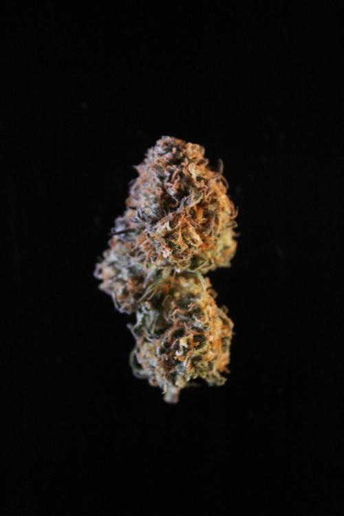 Eternity Grow Cup 2026 - Sticky 🥦. Week 11 - Details of top buds
