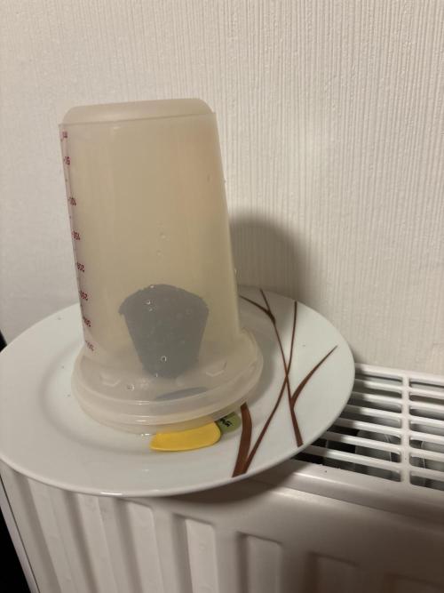 Royal Critical Auto RQS (DWC). Week 0 - 09.02.26