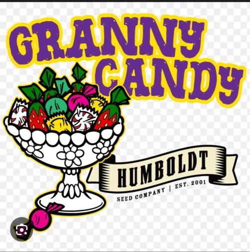 Děkuji Babičko. Week 0