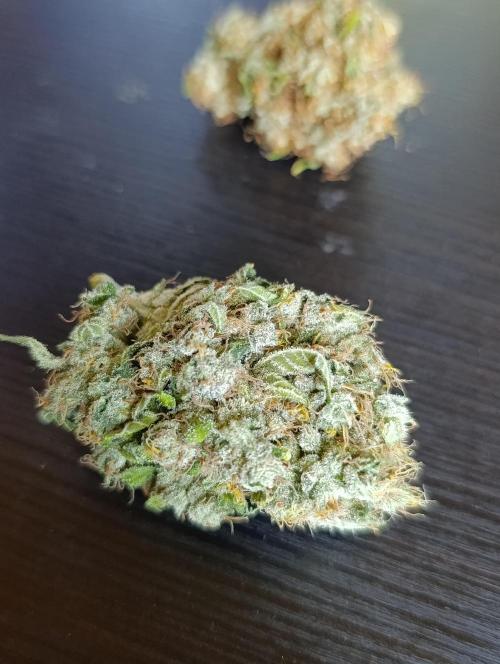 Godfather Bomb. Week 15