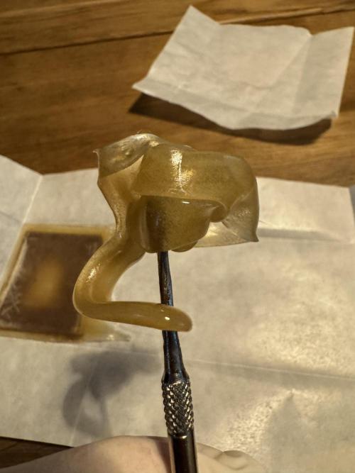 Fake clone - Astronaut Status #24. Week 15