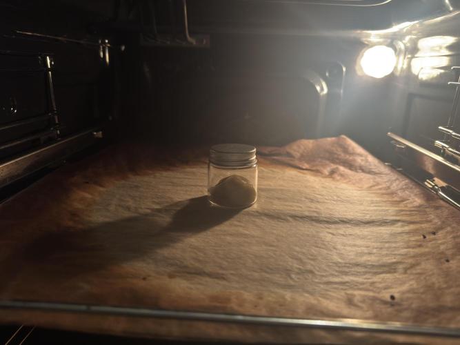 Fake clone - Astronaut Status #24. Week 15