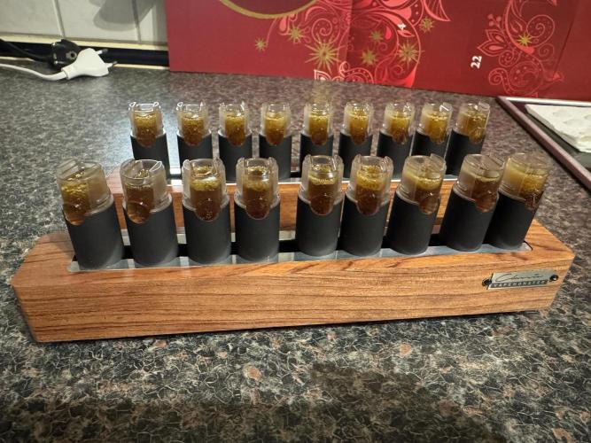 Fake clone - Astronaut Status #24. Week 15