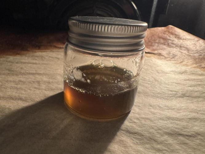 Fake clone - Astronaut Status #24. Week 15