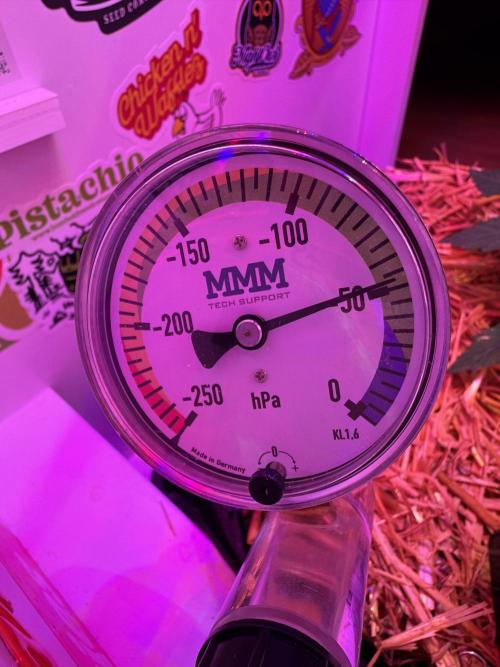 Cap Junky - 12/12 from seed (almost). Week 3