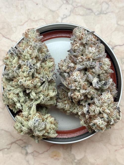 Cap Junky. Week 14