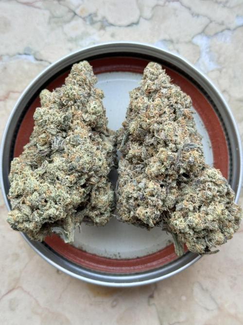 Marshmallow OG - Spring Grow. Week 15