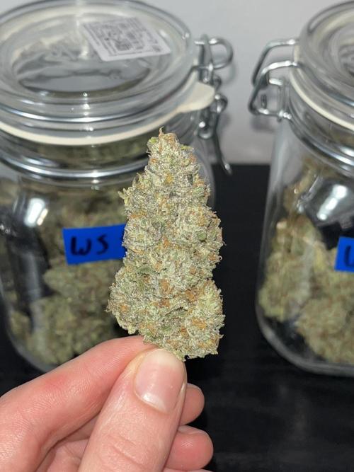 Second Ripper Grow. Week 13 - #1