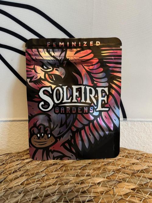 Pink Milk • Solfire. Week 0