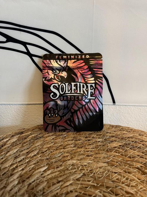 Pink Milk • Solfire. Week 0