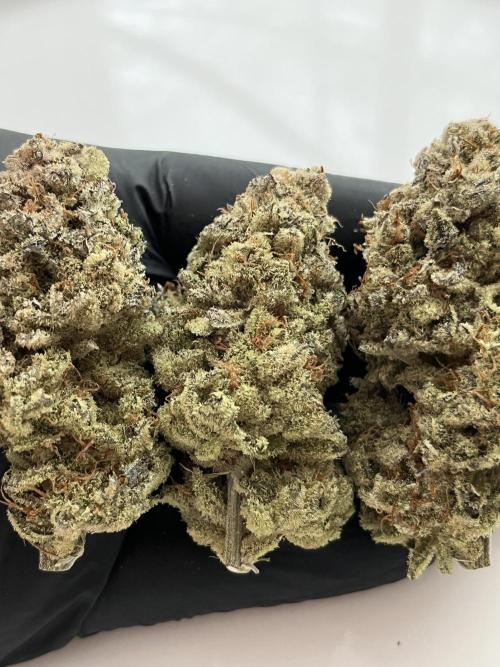 Chem-D Duet. Week 18