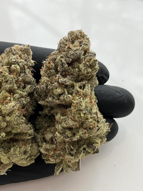 Chem-D Duet. Week 18