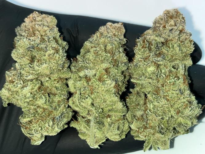 Chem-D Duet. Week 18