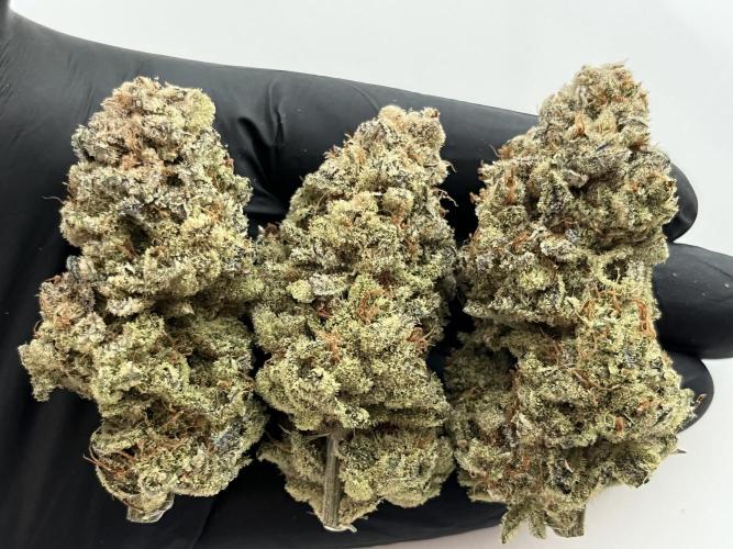 Chem-D Duet. Week 18