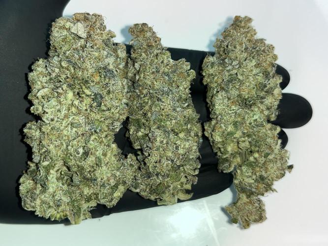 Chem-D Duet. Week 18